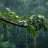 JqZxVRi3y04-channel-avatar-Rain Reverie