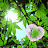 @run-in-the-sun77777
