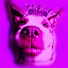 ENbEfLTDWVY-channel-avatar-The Martyrs of Sir David