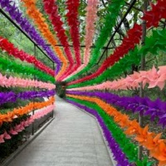 开心小玲儿吖アイコン画像