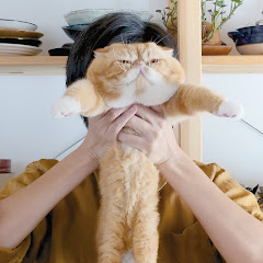 嘖嘖東京日常 (zeze’ tokyo channel)