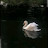 @رودي-ك3ج