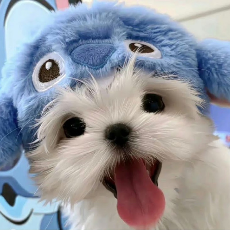 暮らしのドラマ