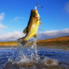 10xFishing