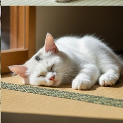 夢の語り部アイコン画像