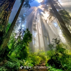 龙马精神アイコン画像