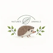 自然界の動物