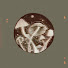 fR1F2MPOPeM-channel-avatar-Noxy.boxy_Adane