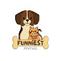 Funniest Animals logo