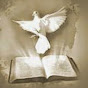 BUSCANDO SANA DOCTRINA Image Thumbnail