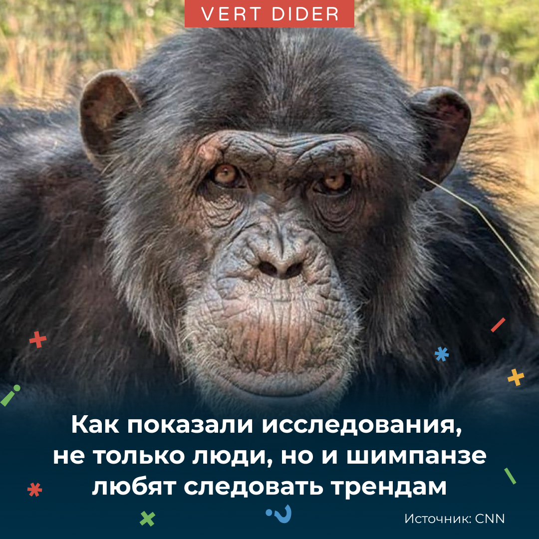 Post from Vert Dider