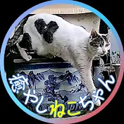 癒やしねこちゃん