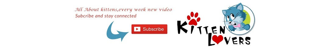 Kitten Lovers Avatar canale YouTube 