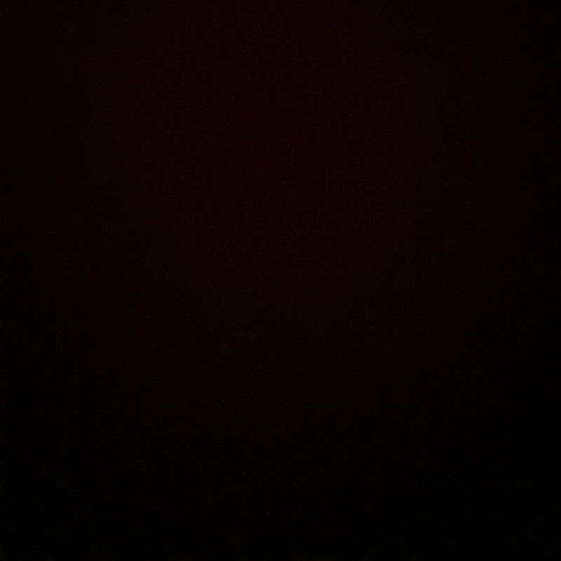 •CøøkieChan•