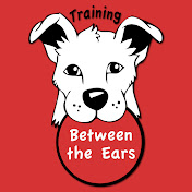 TBTE - Training Between the Ears