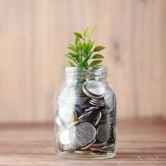 The Quality Investor