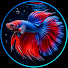 11tB1FCbtkY-channel-avatar-Ki-ell Fishing and ki-ell fantasy