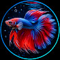 Ki-ell Fishing