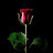 @삐뜨코이너-q8n