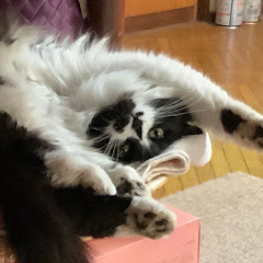ぺこまるおさんぽ日和