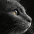 sZMwFPqWiuI-channel-avatar-koolgirly