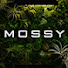 7c2QBVHpJmM-channel-avatar-MOSSY CAFE