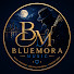 SwNkMw8Qkwc-channel-avatar-Bluemora Music
