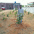 RUtqfC318r8-channel-avatar-Doctor Santhosh Vet