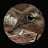 @user-cp8ox6lx8
