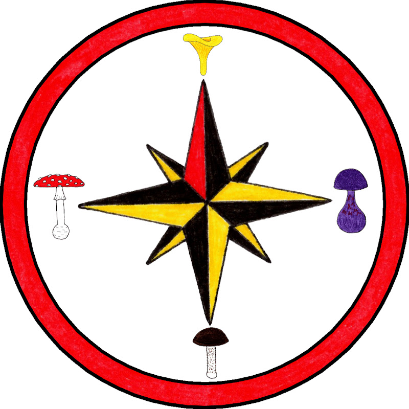 Der Pilzkompass