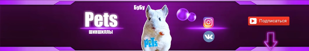 Pets ÑˆÐ¸Ð½ÑˆÐ¸Ð»Ð»Ñ‹ YouTube channel avatar
