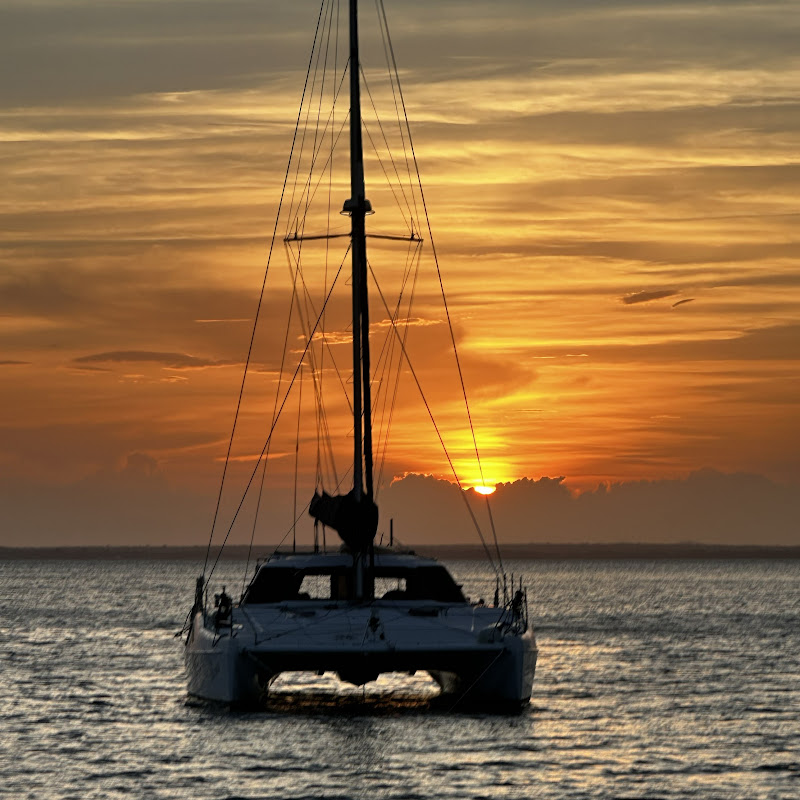 Sailing Sea Moon