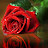 @صمتالقلوب-ز9ل