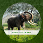 Save Wildlife logo