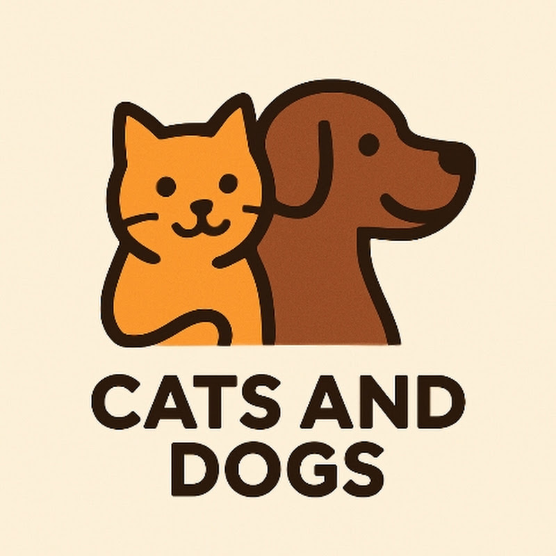 cats and dogs
