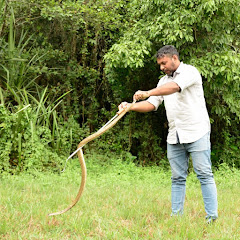 SNAKE HUNTER MALLU