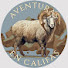nykQQ4SC2DM-channel-avatar-Aventuras en califas