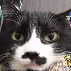 ちゃんねるロゴス