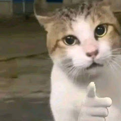 SHER TJ