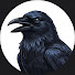 DU6JGTnH21Q-channel-avatar-Known By Birds
