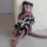 zp6Oq3L27Qs-channel-avatar-Animal World