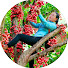 7aj3IMu4bVY-channel-avatar-Hương’s Village Life