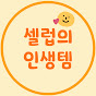 셀럽의 인생템
