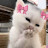 @YaraMehdawi-l4m