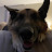 @dutchman9775 Avatar