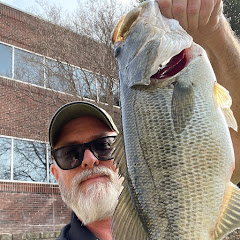 Bass to Bluegill