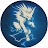 Avatar de @Thunder_Striker_1