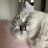 @cats_lovey