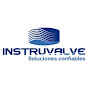 Instruvalve logo
