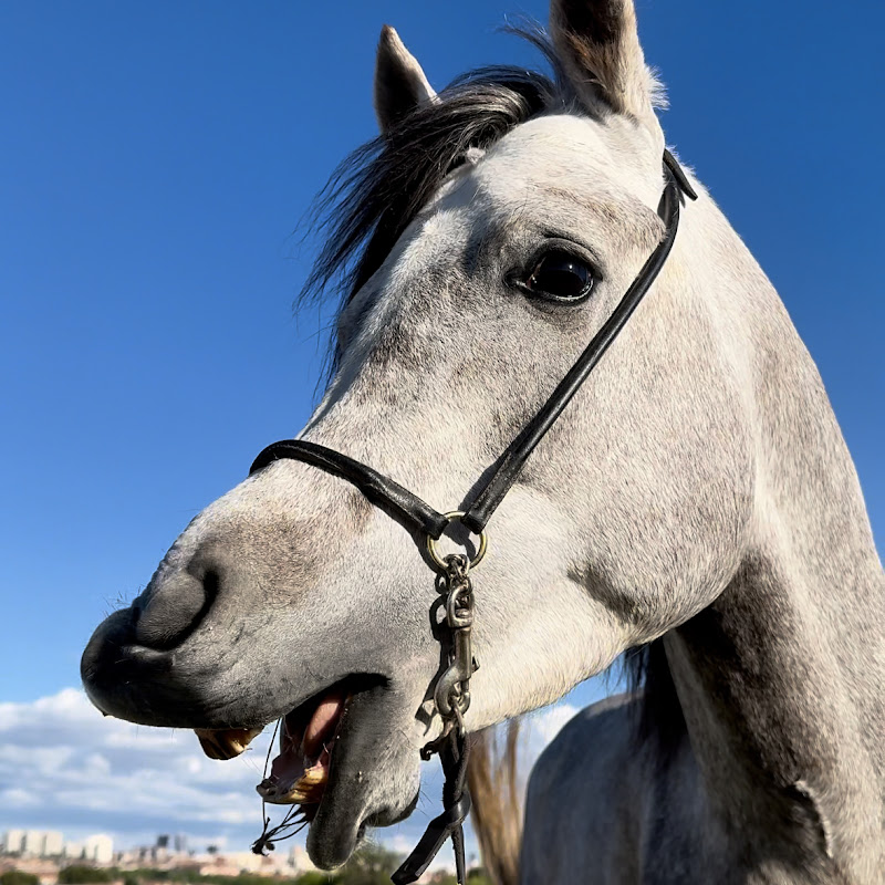 Finca Brillo de Luna